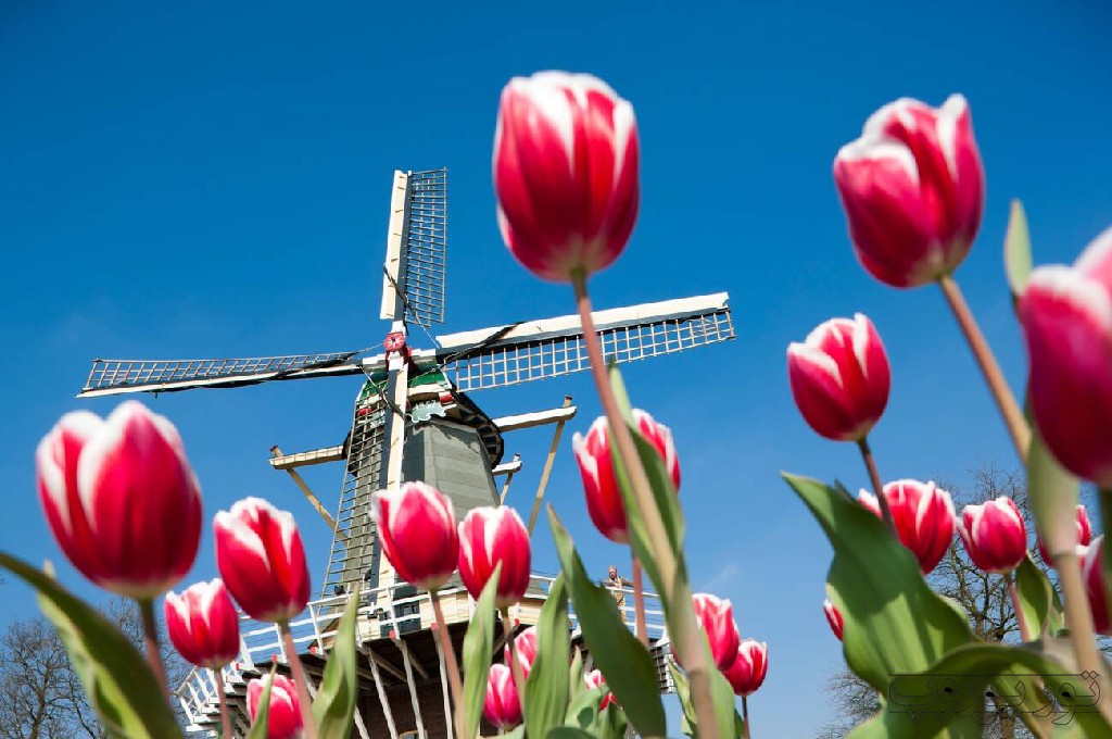 بهترین فستیوال های هلند در چه زمانیست؟